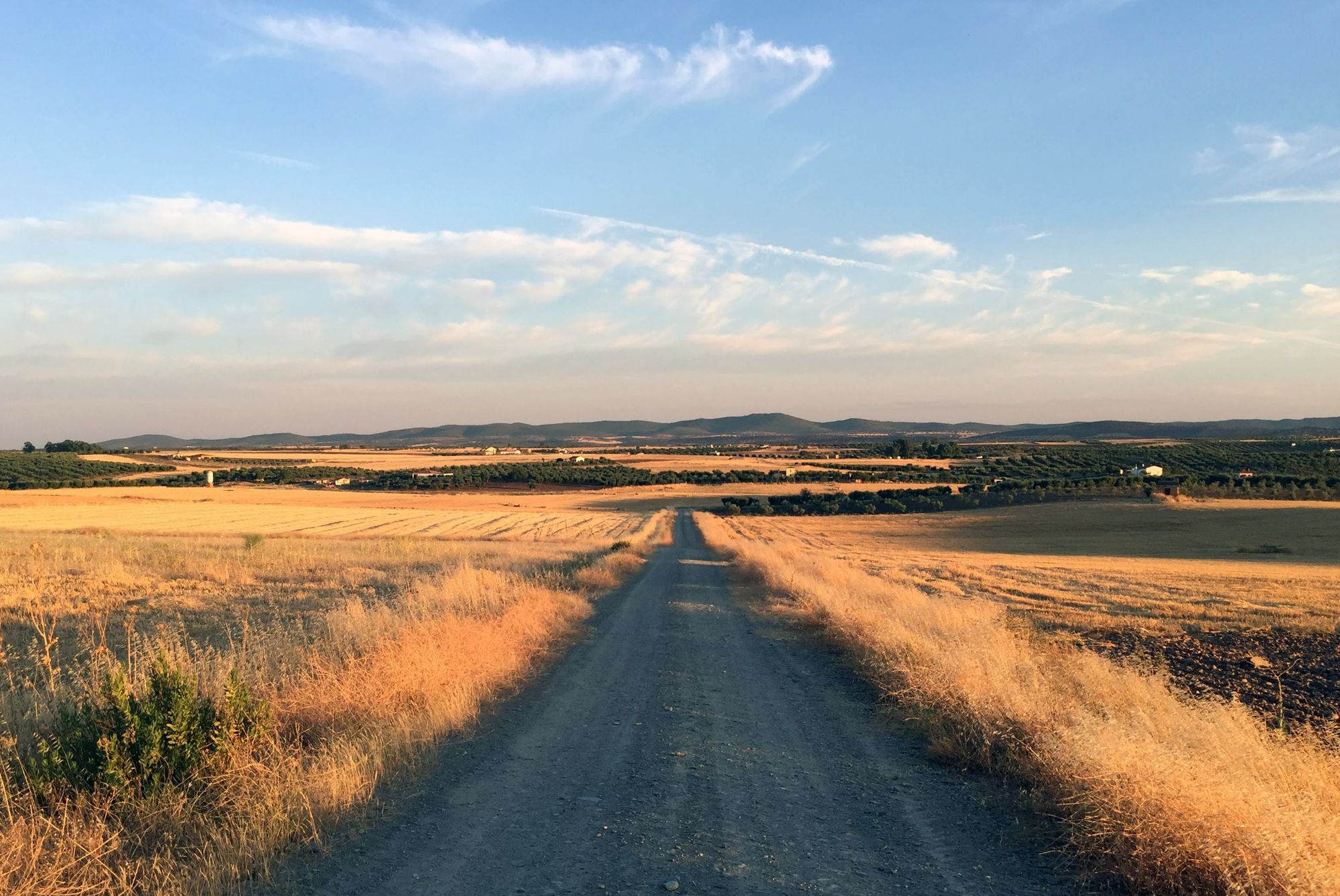 Camino de tierra entre campos dorados con una sierra al fondo