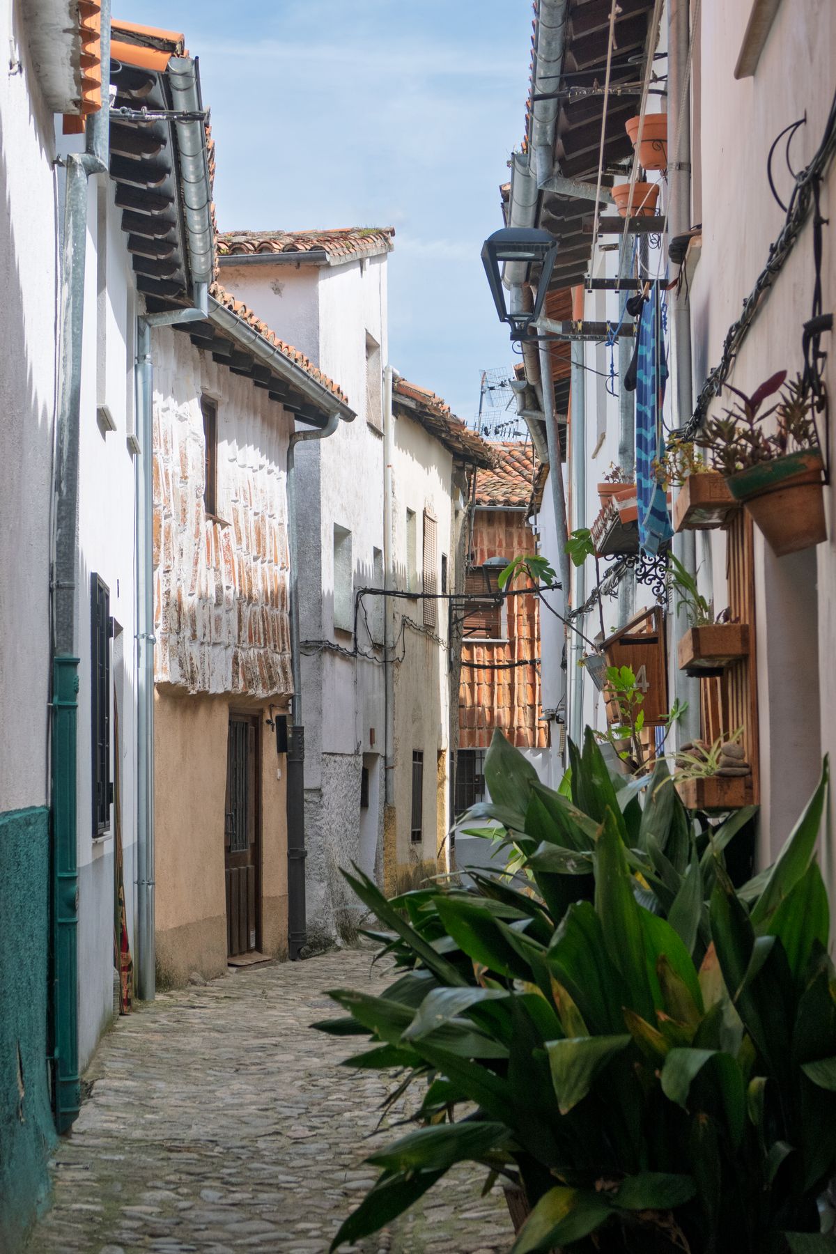 Calleja empedrada de un pueblo con fachadas encaladas y macetas en las paredes